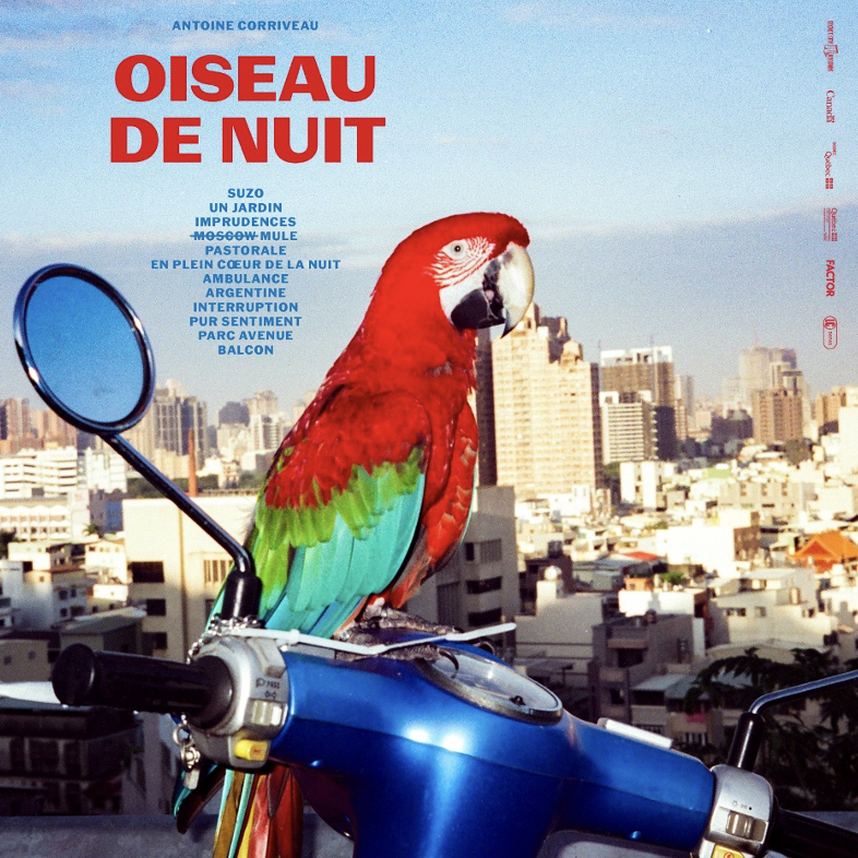 Antoine Corriveau - Oiseau De Nuit