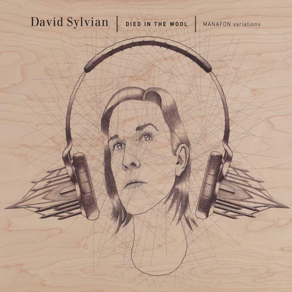 David Sylvian - Died In The Wool (2LP)