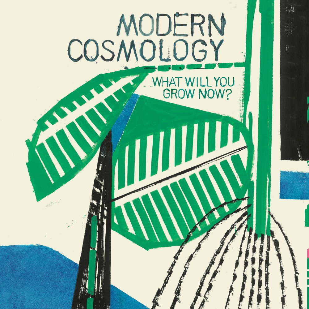 Modern Cosmology - What Will You Grow Now