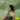 Eunike Tanzil - The First Of Everything