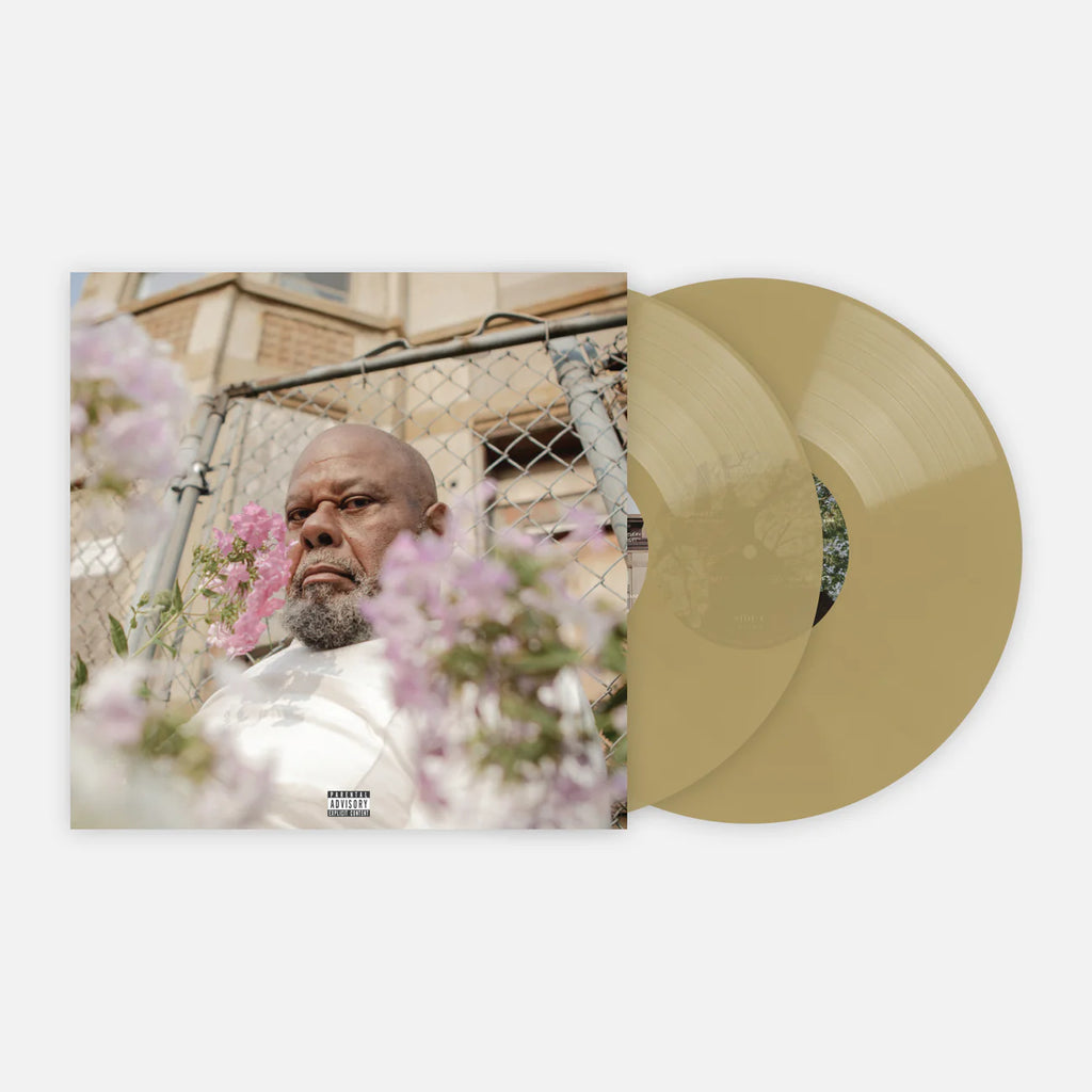 Saba - Few Good Things (2LP)(Coloured)