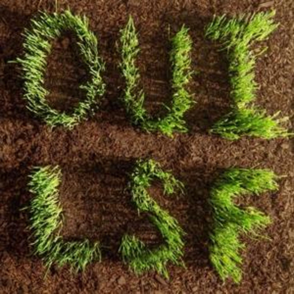 Les Savy Fav - Oui (Coloured)