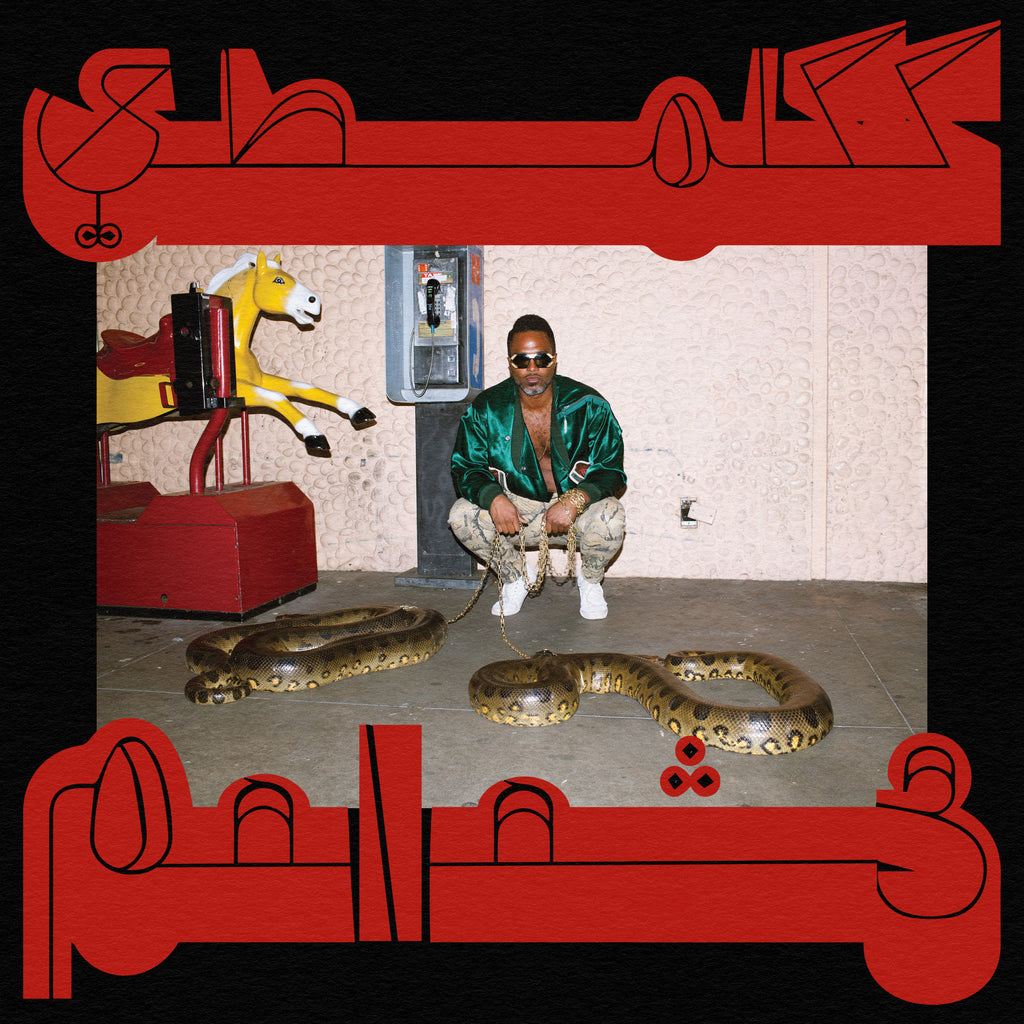 Shabazz Palaces - Robed In Rareness (Coloured)