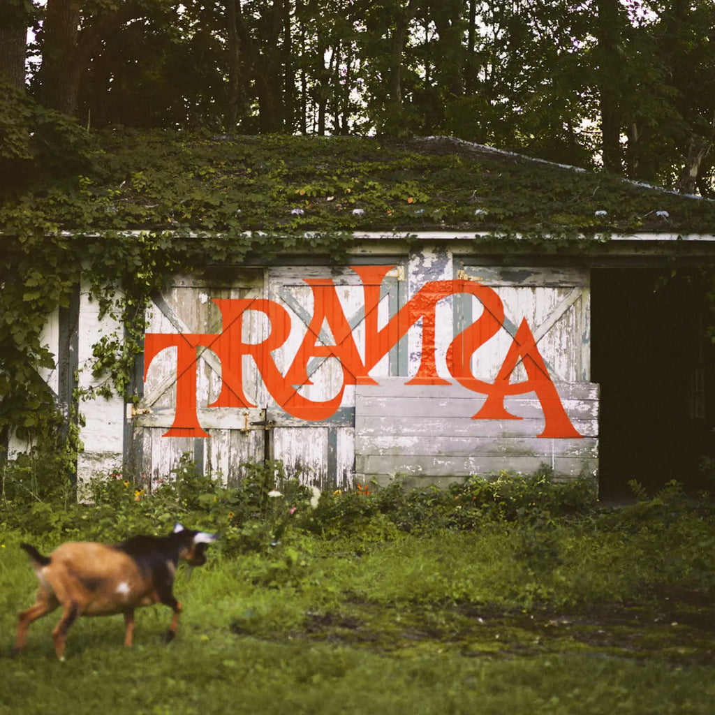 Various Artists - Transa (6LP)