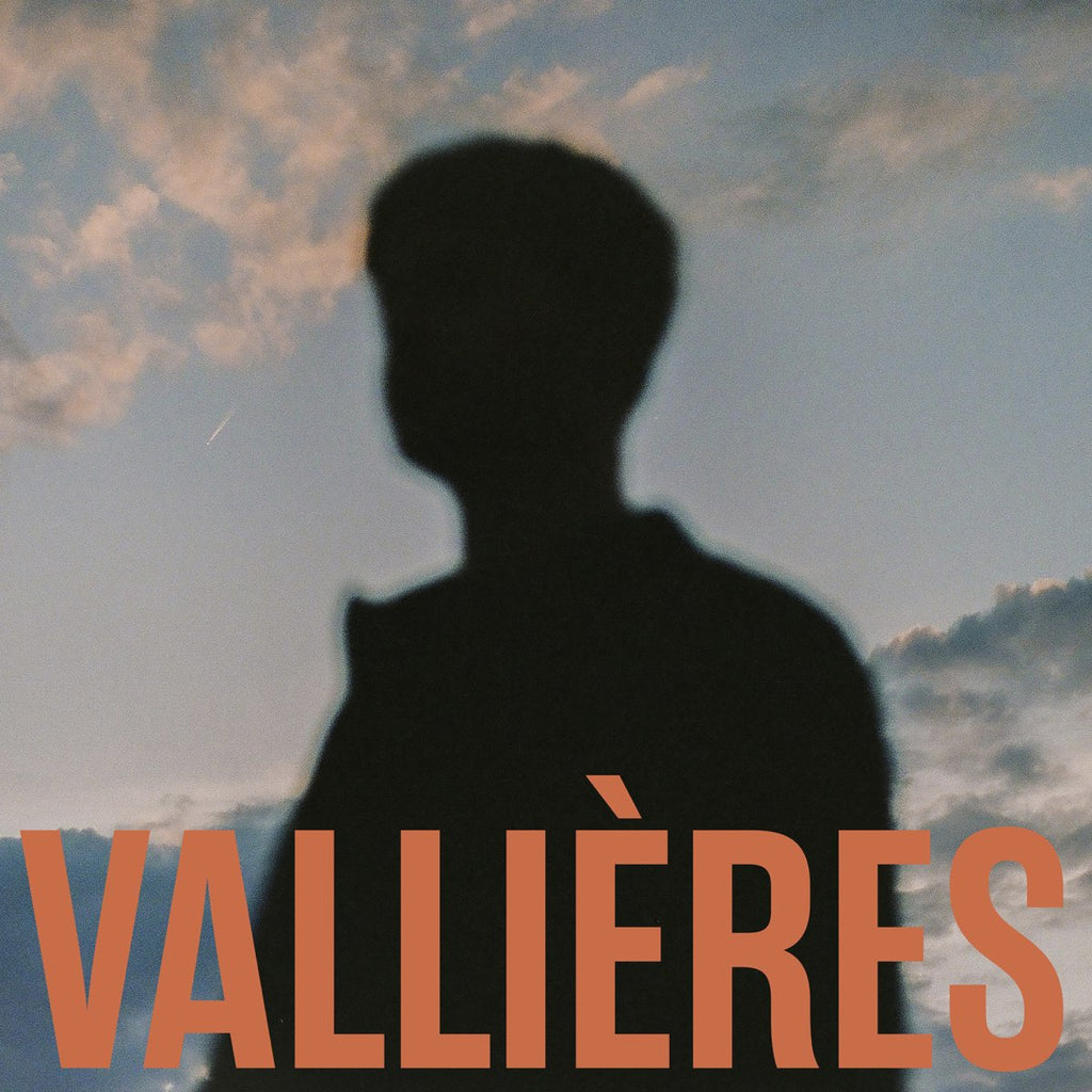 Vincent Vallières - Toute Beaute N'est Pas Perdue