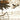 Dionysos - Western Sous La Neige (2LP)(Clear)
