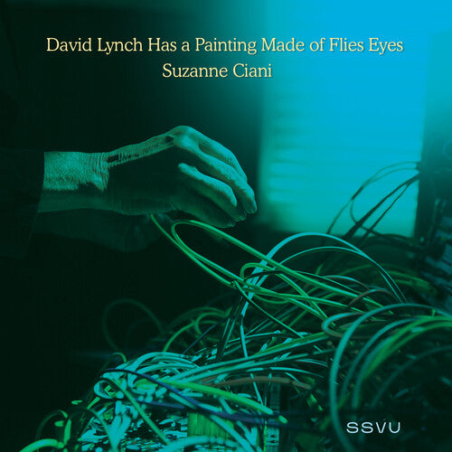 Silversun Pickups - David Lynch Has A Painting Made Of Flies Eyes