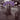 Spin Doctors - Pocket Full Of Kryptonite