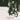 Alkaline Trio - My Shame Is True
