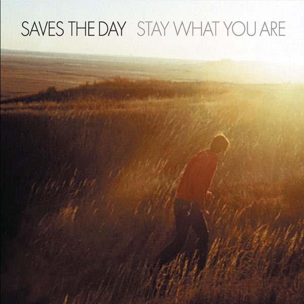 Saves The Day - Stay What You Are (2LP)(Brown)