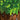 C418 - Minecraft Volume Alpha (Coloured)