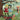 Indochine - Alice & June (2LP)