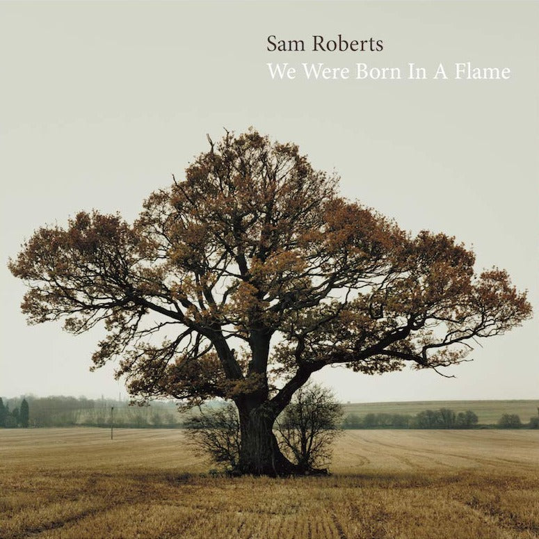 Sam Roberts - We Were Born In A Flame (3LP)