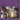 Slits - Cut