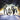 Korn - Path Of Totality