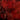 Shai Hulud - That Within Blood Ill Tempered (Coloured)