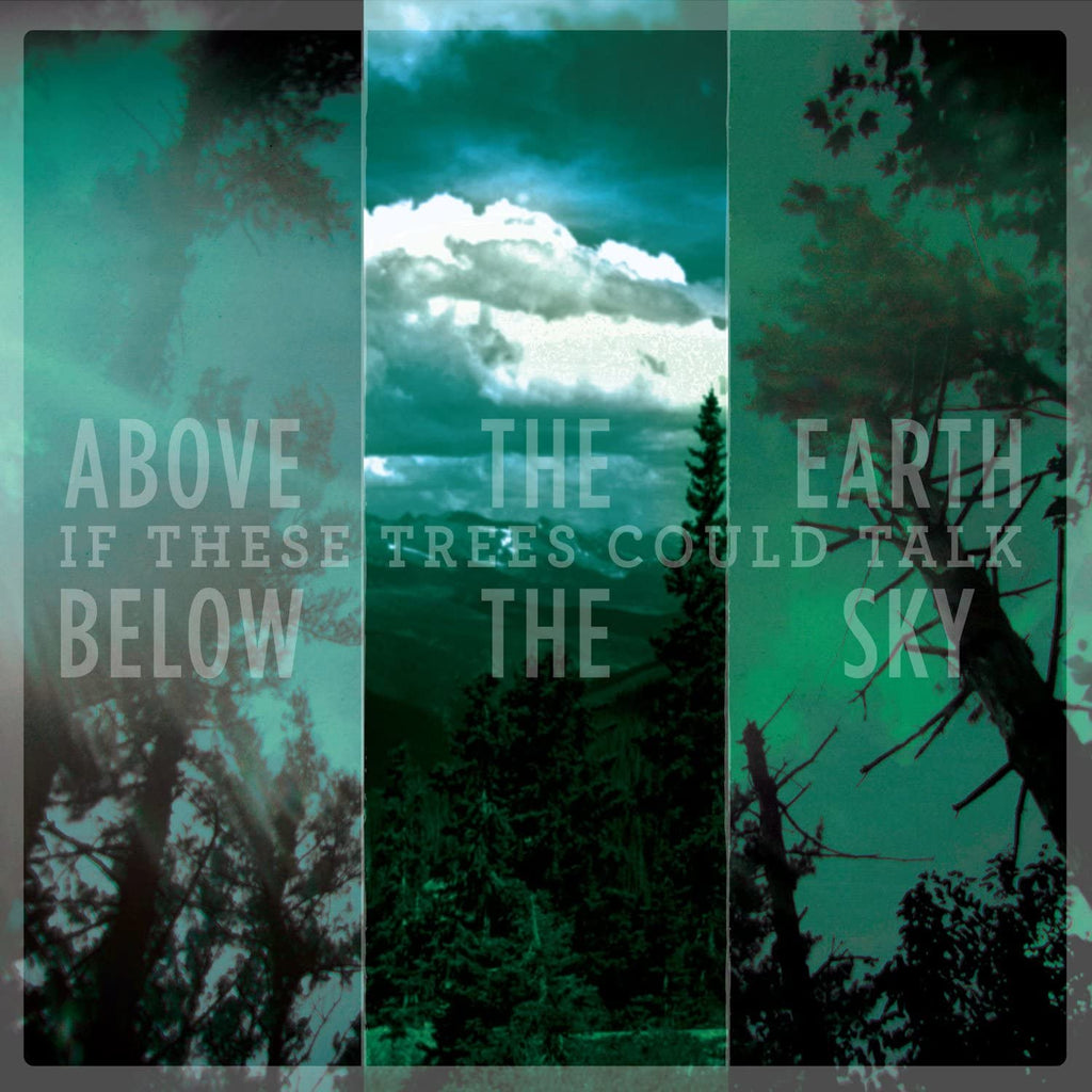 If These Trees Could Talk - Above The Earth Below The Sky (Grey)