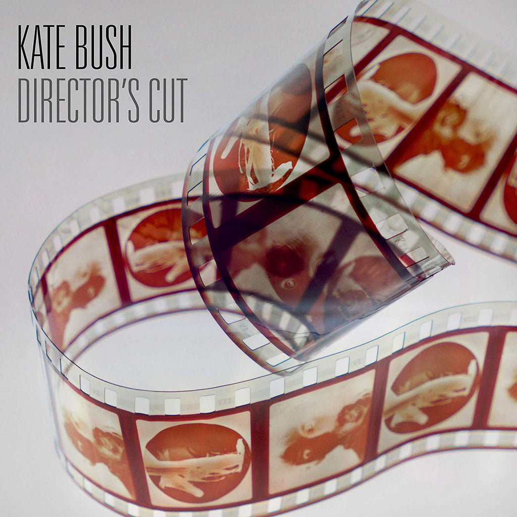 Kate Bush - Director's Cut (2LP)