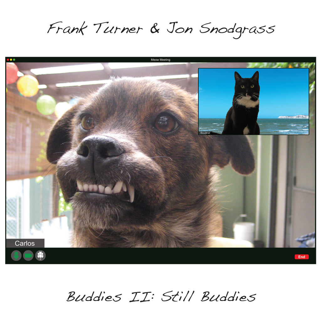 Frank Turner - Buddies II: Still Buddies