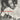 R.L. Burnside - Long Distance Call: Europe 1982