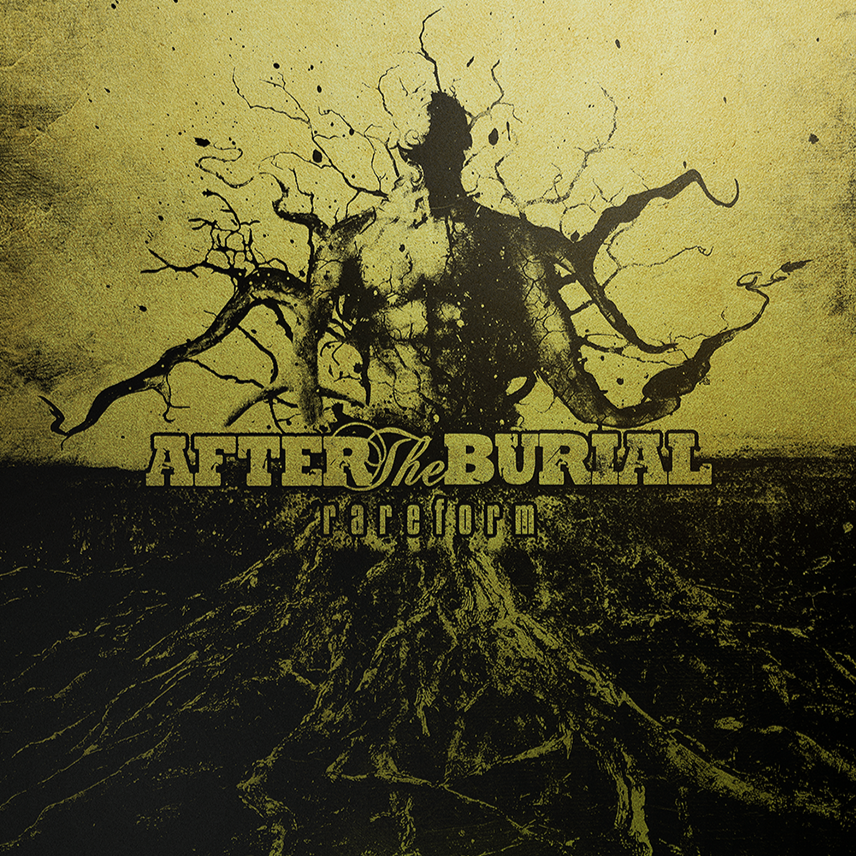 After The Burial - Rareform