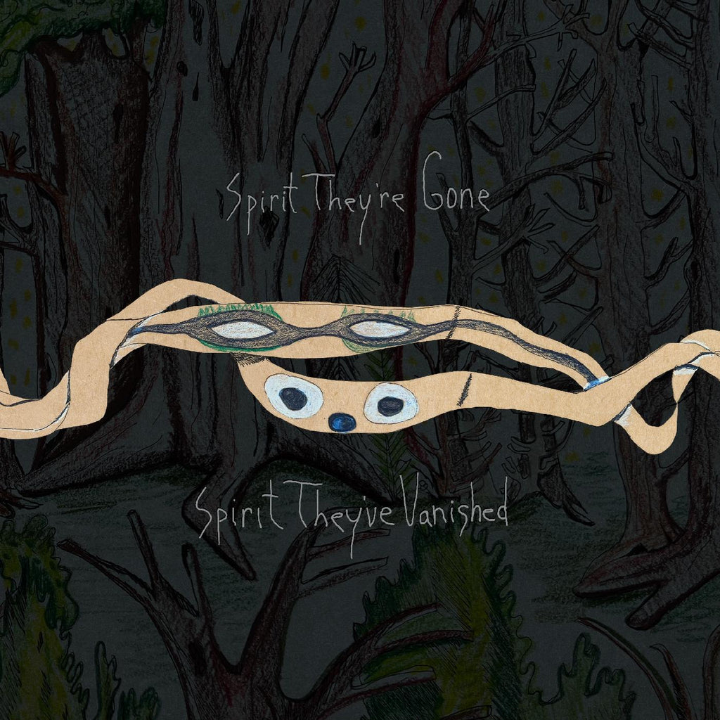 Animal Collective - Spirit They're Gone, Spirit They've Vanished (2LP)(Coloured)