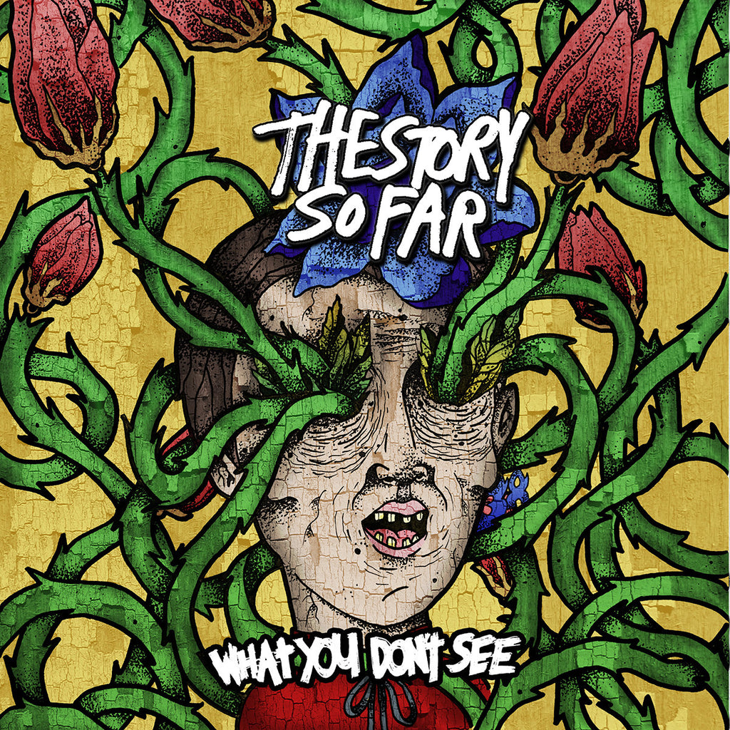 Story So Far - What You Don't See (Coloured)