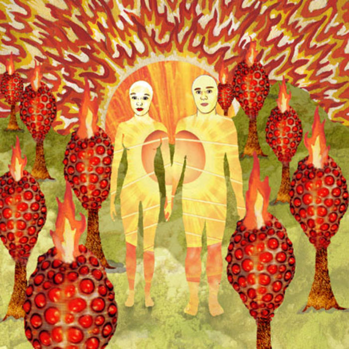 Of Montreal - The Sunlandic Twins (2LP)(Coloured)