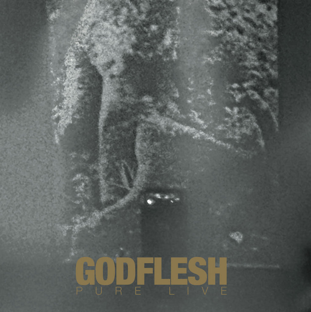 Godflesh - Pure Live (2LP)