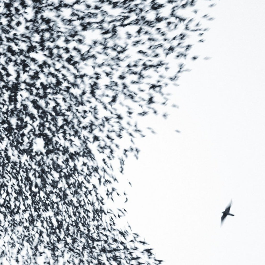 Wilco - Sky Blue Sky (2LP)