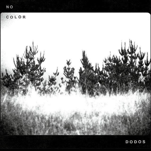 Dodos - No Color
