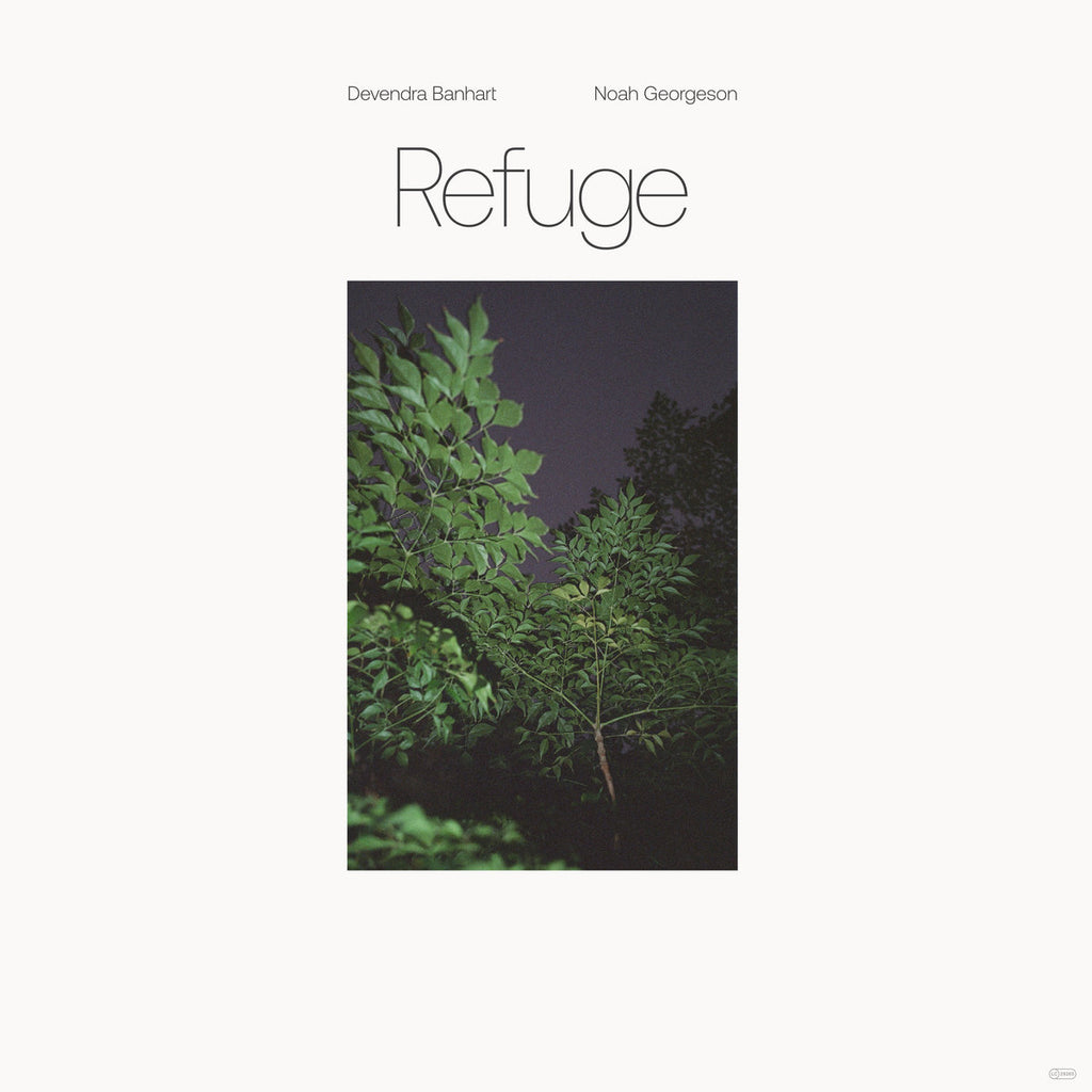 Devendra Banhart - Refuge (2LP)