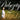 Mitski - Puberty 2 (Coloured)