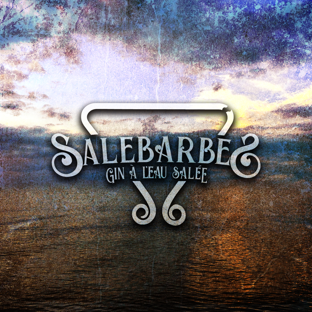 Salebarbes - Gin À L'eau Salée (CD)