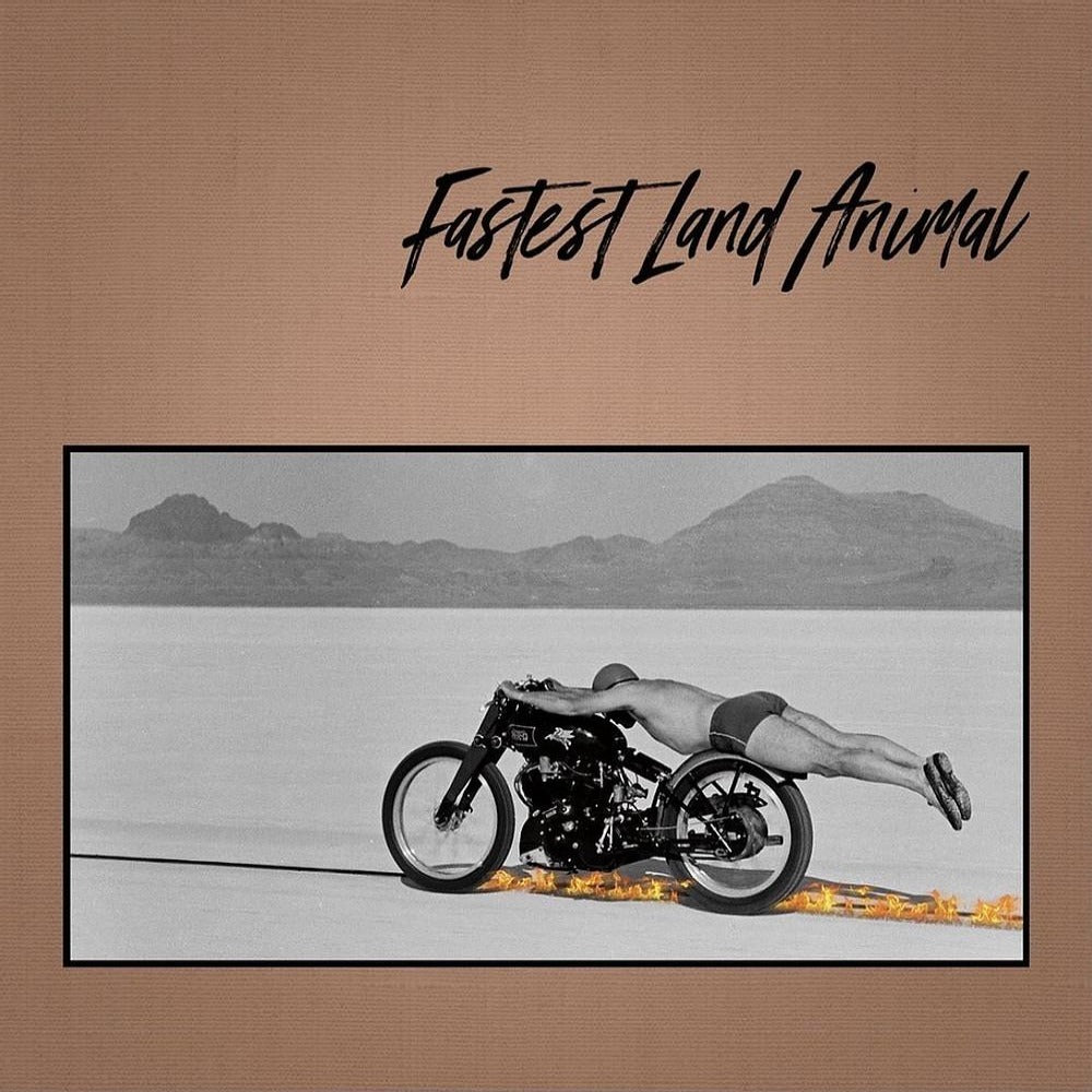 Fastest Land Animal - Fastest Lane Animal