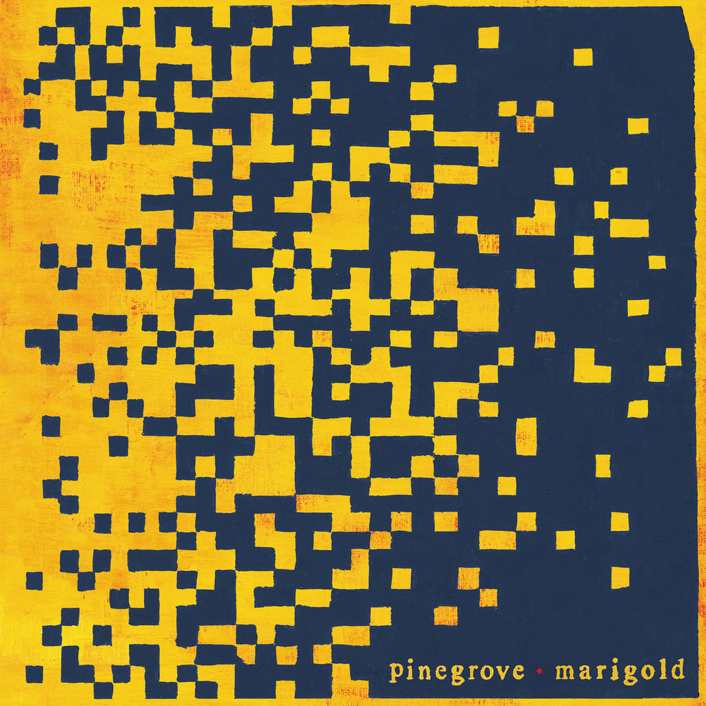 Pinegrove - Marigold (Yellow)