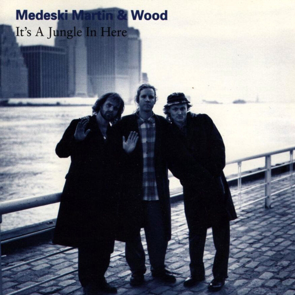 Medeski, Martin & Wood - It's A Jungle In Here
