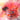 Lesbo Vrouven - Grifff Pifff (Rose)