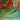 Fugazi - Red Medicine