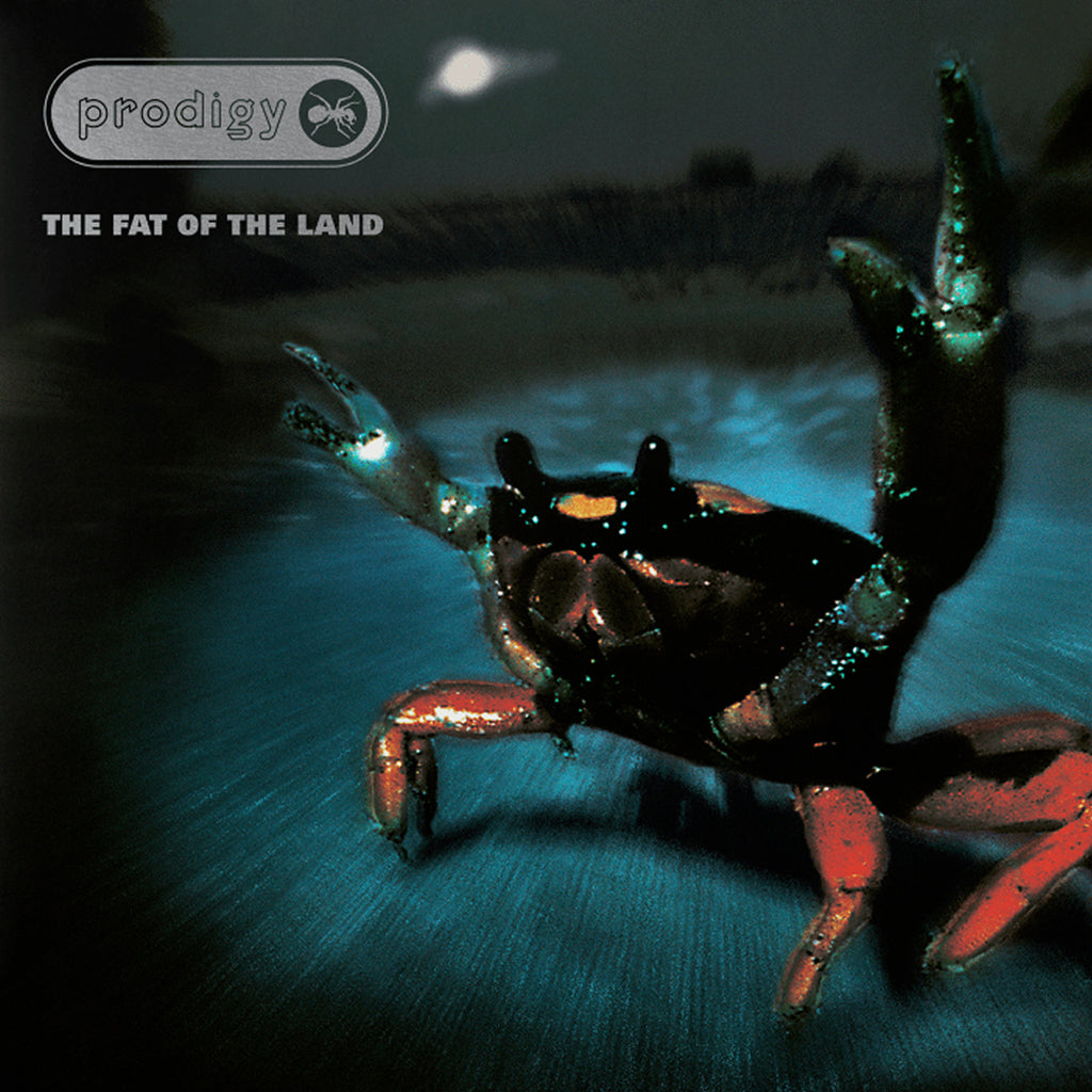 Prodigy - The Fat Of The Land (2LP)(Silver)