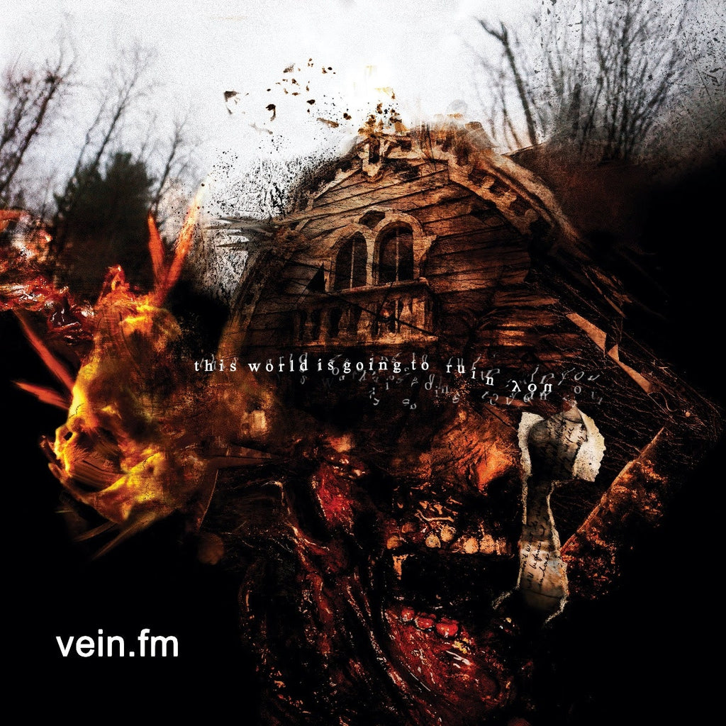 Vein.FM - This World Is Going To Ruin You