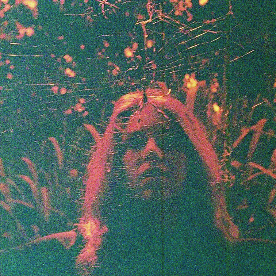 Turnover - Peripheral Vision (Coloured)