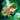 OST - Tarzan (Green)